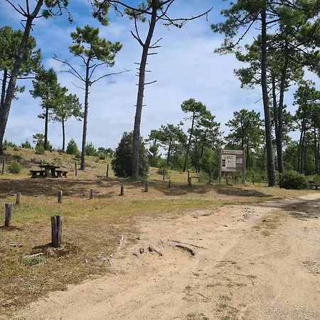 Calme 4 Pers Proche Avec Terrasse Et Parking - - Fr-1-224c-259 *